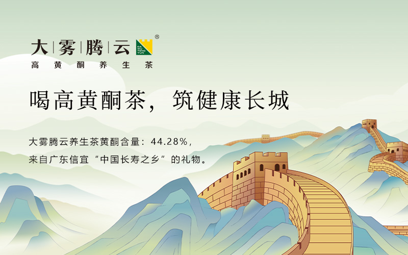 大霧騰云高黃酮養(yǎng)生茶品牌設(shè)計(jì)