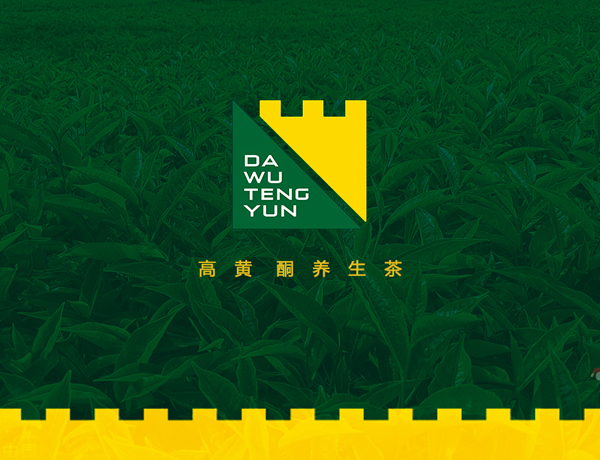 大霧騰云高黃酮養(yǎng)生茶品牌設(shè)計案例