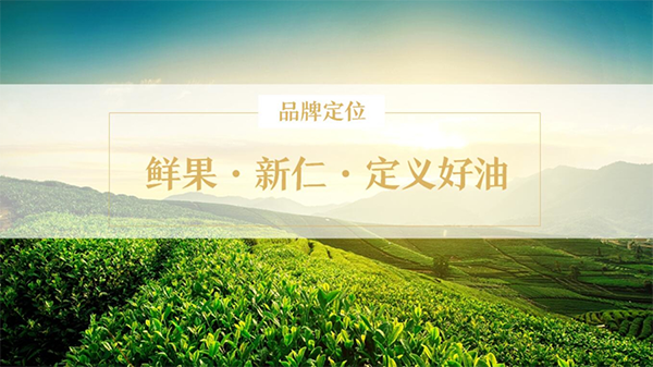 初典核桃油品牌營(yíng)銷策劃案例