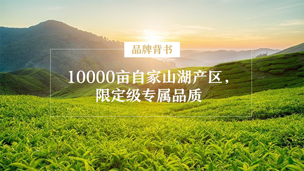 初典核桃油品牌營(yíng)銷策劃案例