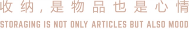 卓木鳥收納營銷策劃案例